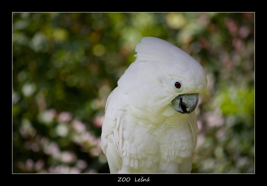 img_0065