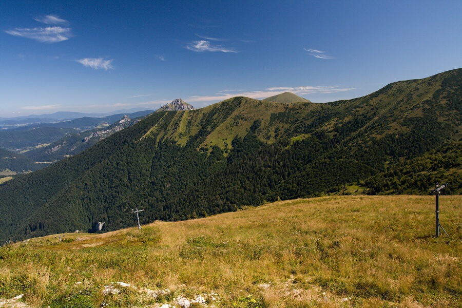 img_0103--1-